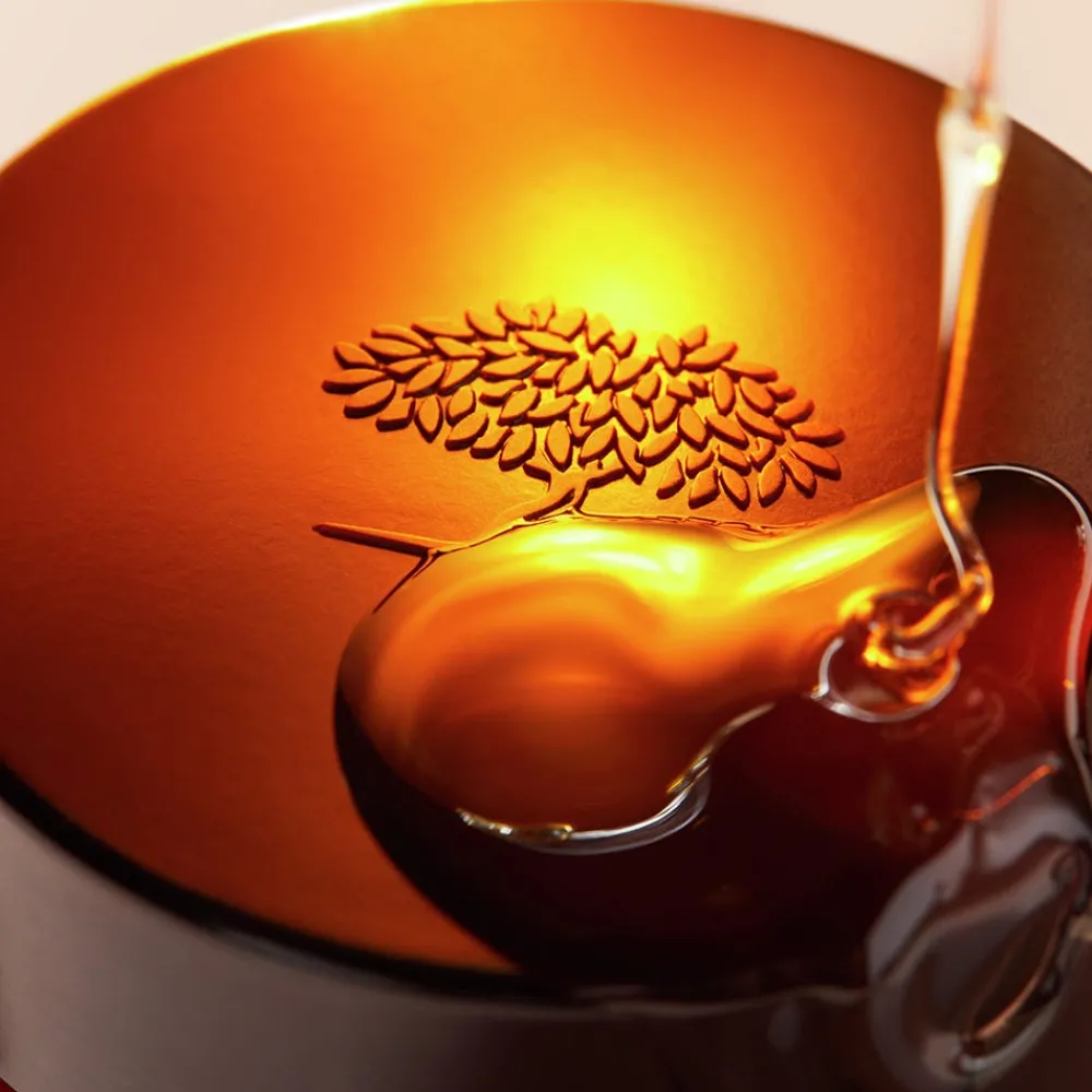 NUXE Lippenpflege|Hautpflege|Rêve de Miel Nährender Lippenbalsam 15 g