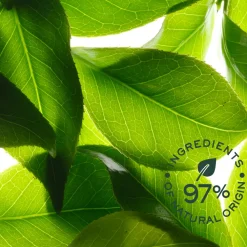 NUXE Körper^Rêve de thé Duo Deodorant Fraîcheur 24h