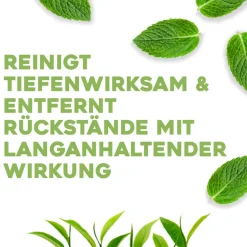 OGX Conditioner^Tea Tree Mint Extra Strength Conditioner 385ml