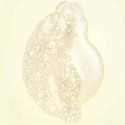 Hair Alchemy Resilience Shampoo 75 ml-ORIBE Online