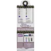 Extra-Body Big Style Gift Set-Paul Mitchell Clearance