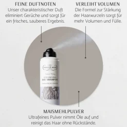 SESSION STYLING Dry Instant Volumising Spray 200 ml-Percy & Reed Best