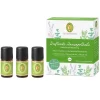 PRIMAVERA Hagel Nature|Körper|Set Duftende Hausapotheke 3x5 ml