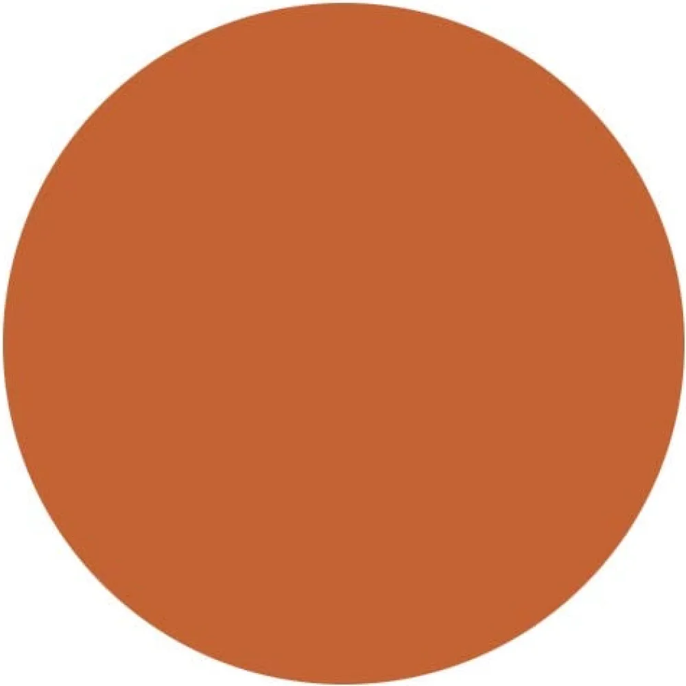 Colour Me Organic Strawberry Blonde 100 g-Radico Discount