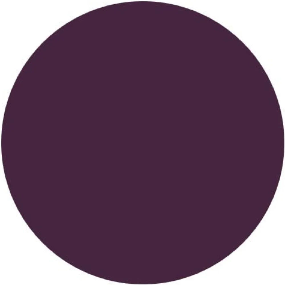 Colour Me Organic Violett 100 g-Radico