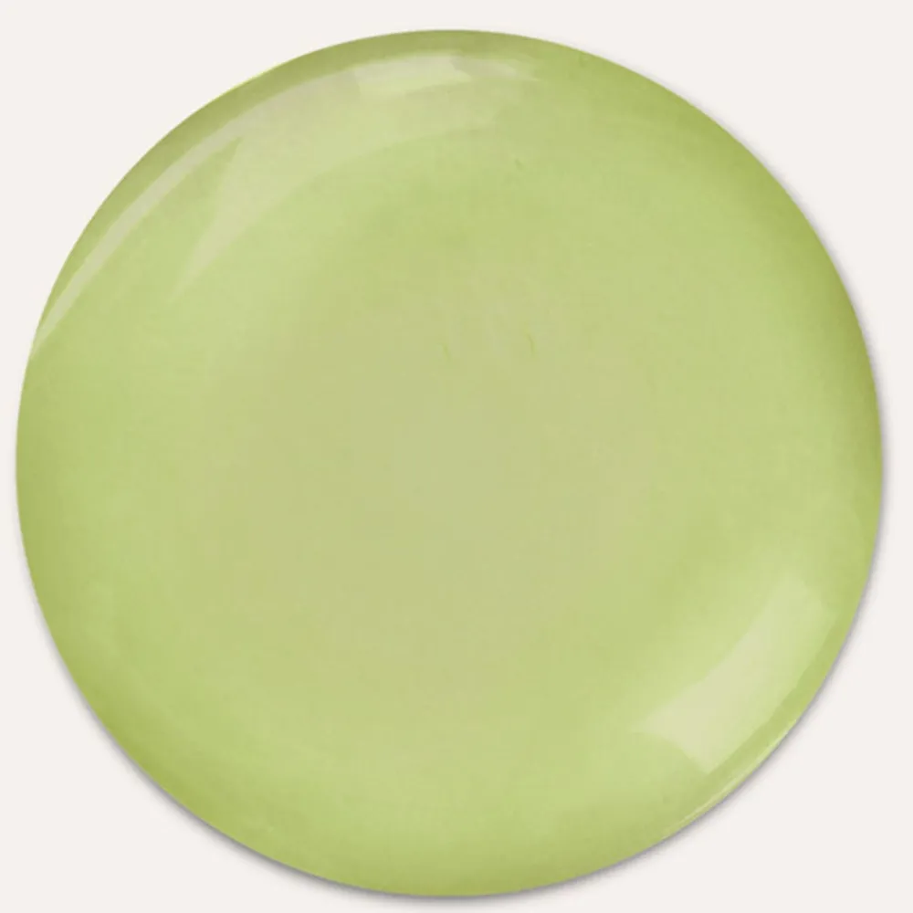 Rausch Hagel Nature| Shampoo|Anti-Fett-Shampoo mit Meerstang 40 ml