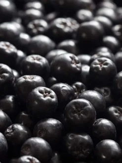 Dry Shampoo Fresh 150 ml-Rausch New