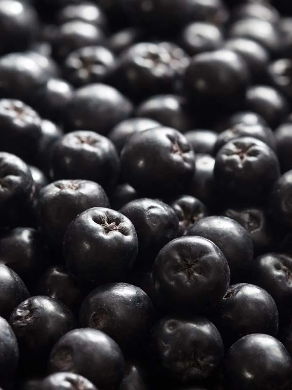 Dry Shampoo Fresh 150 ml-Rausch New