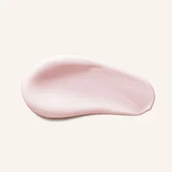 Farbschutz-Conditioner mit Wildrose 150 ml-Rausch Online