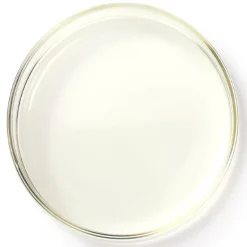 Redken Tönung^Shades EQ Bonder Inside 07GRo Golden Fizz 60 ml