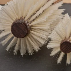 Regincos Kämme & Bürsten|Bürste|Regincós e.Cork Blonde 22529 Rundbürste 26/80 mm X