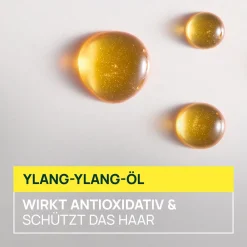 Rene Furterer Reisegrößen| Haarkur|René Furterer Sublime Karité Glättende Creme 100 ml