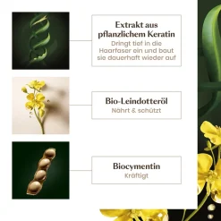 Rene Furterer Reparatur & Stärkung|Hagel Nature|Absolue Kératine Ultimatives Repair Serum Leave-In 30 ml