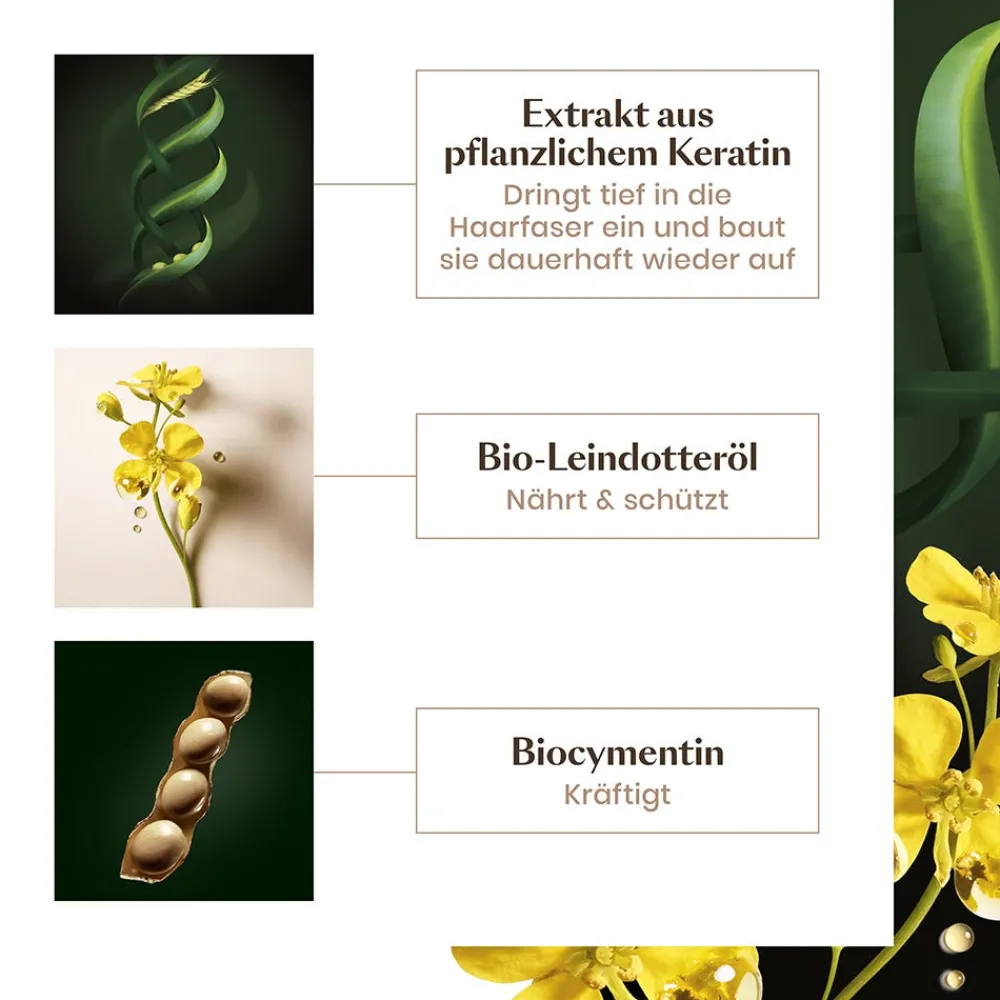Rene Furterer Reparatur & Stärkung|Hagel Nature|Absolue Kératine Aufbauende Keratin-Maske fein-normal 200 ml