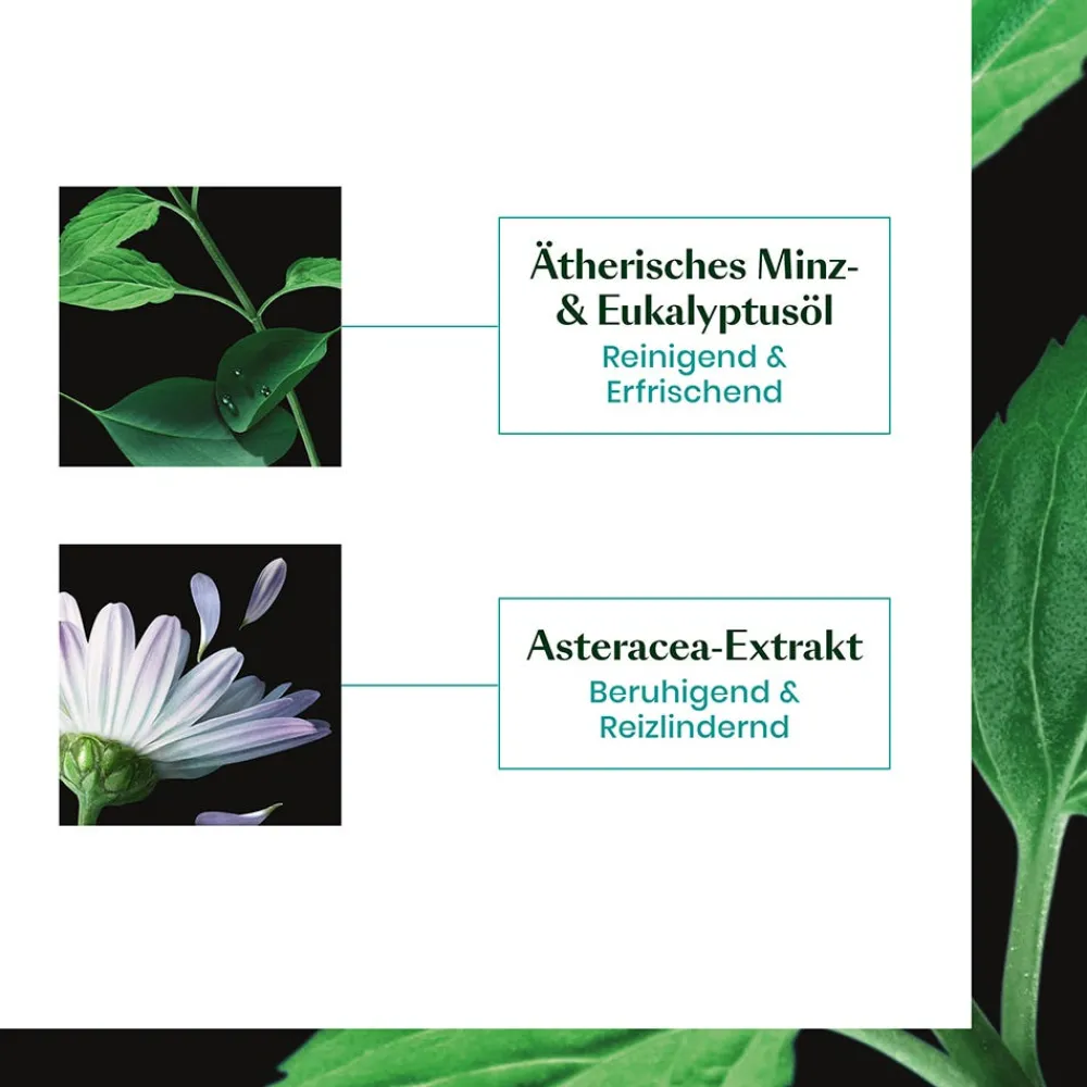 Rene Furterer Hagel Nature| Shampoo^Astera Fresh Shampoo 600 ml Maxigröße