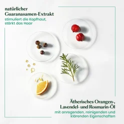 Rene Furterer Hagel Nature| Shampoo|Forticea Vitalisierendes Shampoo 600 ml