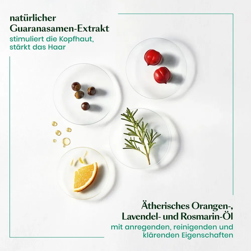 Rene Furterer Hagel Nature| Shampoo|Forticea Vitalisierendes Shampoo 600 ml