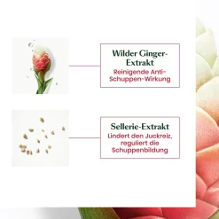 NEOPUR Anti-Schuppen Shampoo Trockene Schuppen 150 ml-Rene Furterer Best