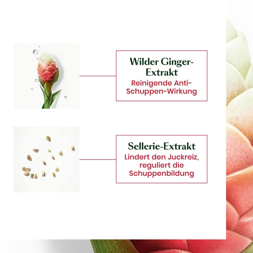 NEOPUR Anti-Schuppen Shampoo Trockene Schuppen 150 ml-Rene Furterer Best