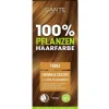 SANTE Hagel Nature|Haarfarbe^Pflanzenhaarfarbe - terra 100 g