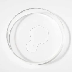 Scandinavian Biolabs Haarausfall| Shampoo^Bio-Pilixin Serum - Für Frauen 100 ml