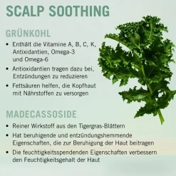 Schwarzkopf BC Bonacure Scalp Soothing Serum 100 ml-Schwarzkopf Professional Clearance