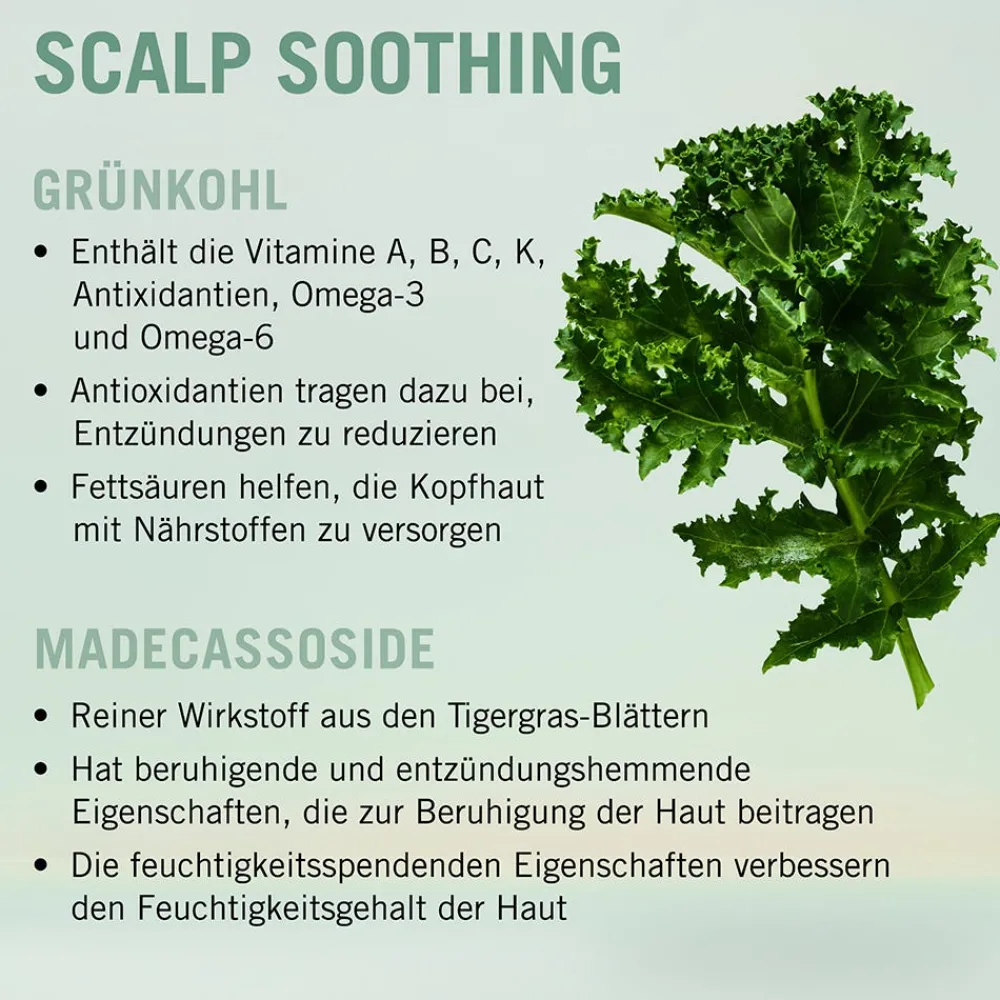 Schwarzkopf BC Bonacure Scalp Soothing Serum 100 ml-Schwarzkopf Professional Clearance