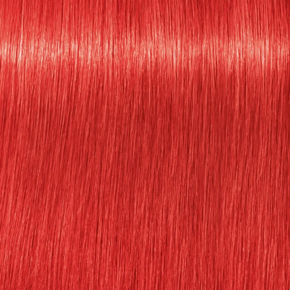Schwarzkopf Professional Haarfarbe|Schwarzkopf Igora Royal 0-88 Rot Konzentrat