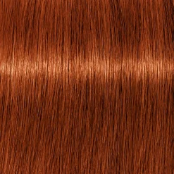 Schwarzkopf Professional Haarfarbe^Schwarzkopf Igora Royal 6-77 Dunkelblond Kupfer Extra