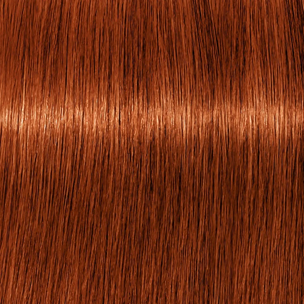 Schwarzkopf Professional Haarfarbe^Schwarzkopf Igora Royal 6-77 Dunkelblond Kupfer Extra