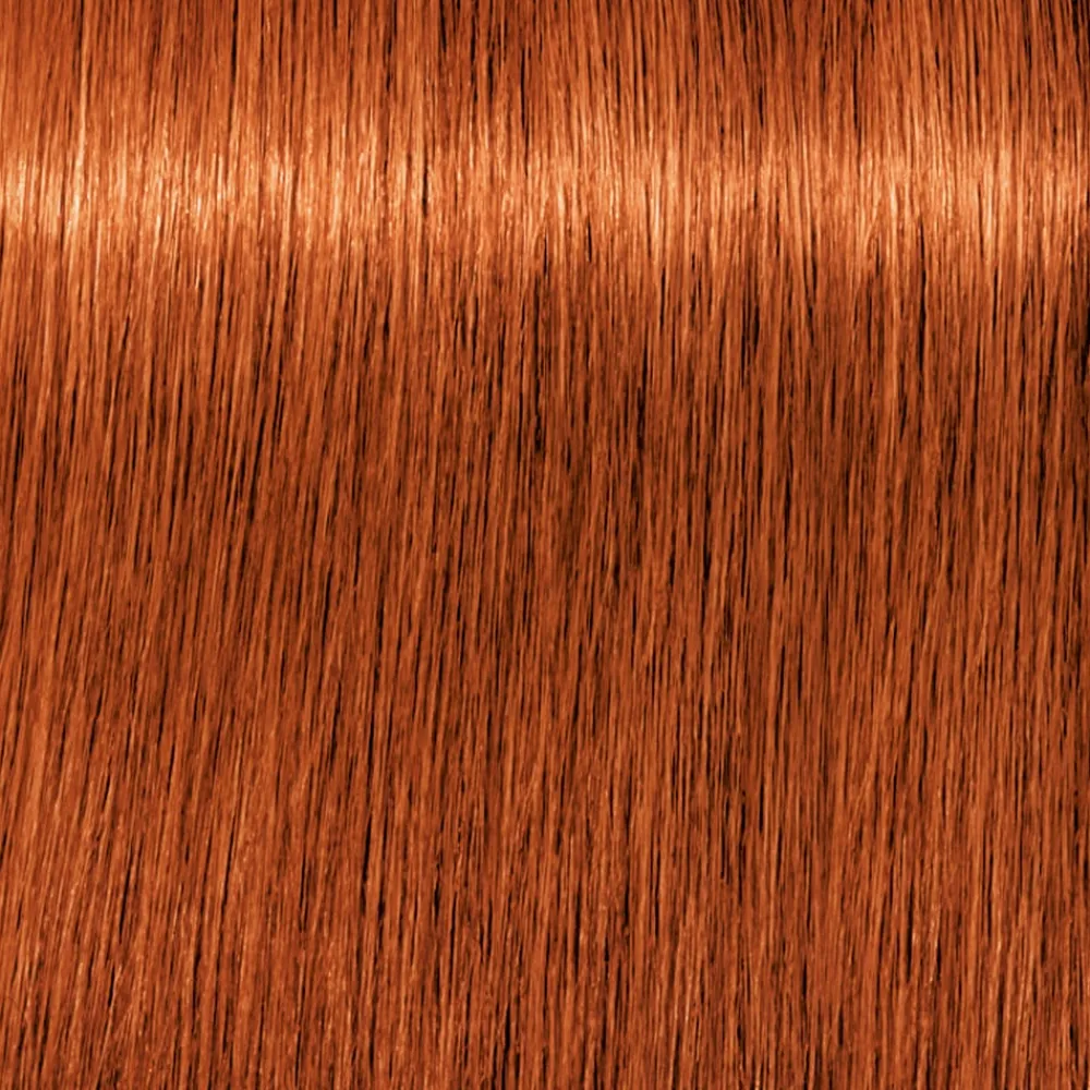 Schwarzkopf Professional Haarfarbe^Schwarzkopf Igora Royal 7-77 Mittelblond Kupfer Extra