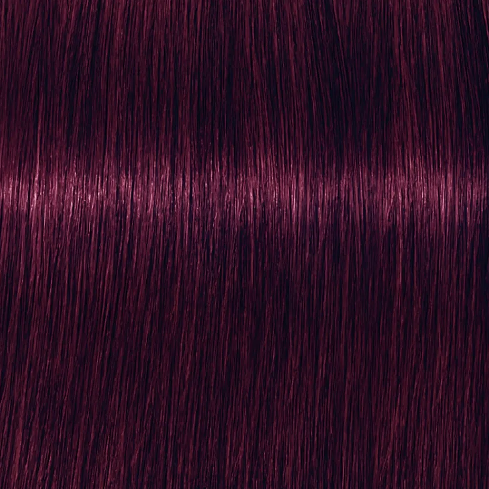 Schwarzkopf Professional Haarfarbe^Schwarzkopf Igora Royal 5-99 Hellbraun Violett
