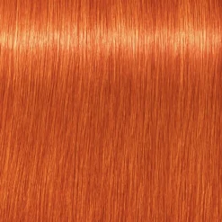 Schwarzkopf Professional Haarfarbe|Schwarzkopf Igora Royal - 0-77 Kupfer Konzentrat