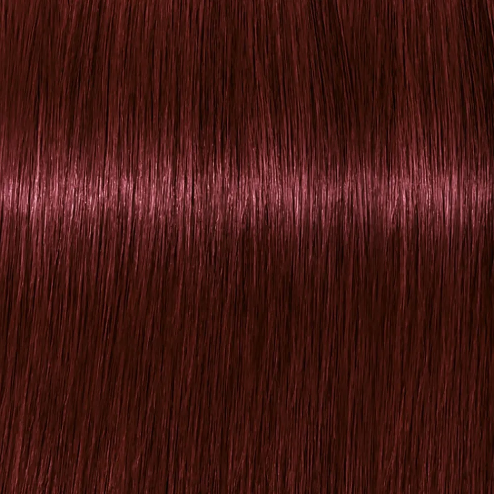 Schwarzkopf Igora Royal 4-88 Mittelbraun Rot Extra-Schwarzkopf Professional Sale