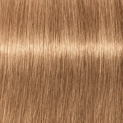 Schwarzkopf Igora Royal 8-65 Hellblond Schoko Gold-Schwarzkopf Professional Best