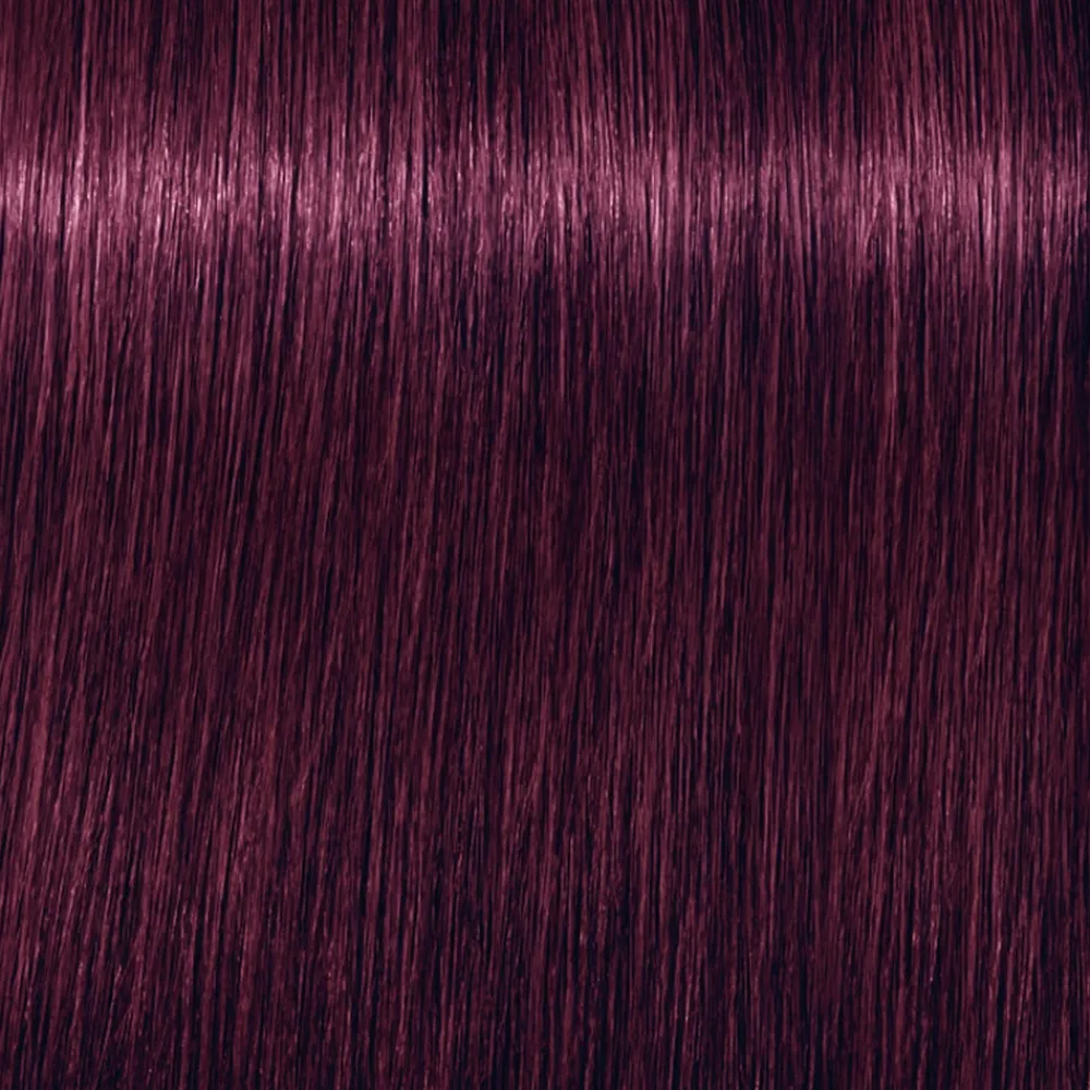 Schwarzkopf Professional Haarfarbe^Schwarzkopf Igora Royal 6-99 Dunkelblond Violett