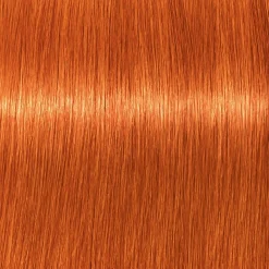 Schwarzkopf Professional Haarfarbe|Schwarzkopf Igora Royal 8-77 Hellblond Kufper Extra