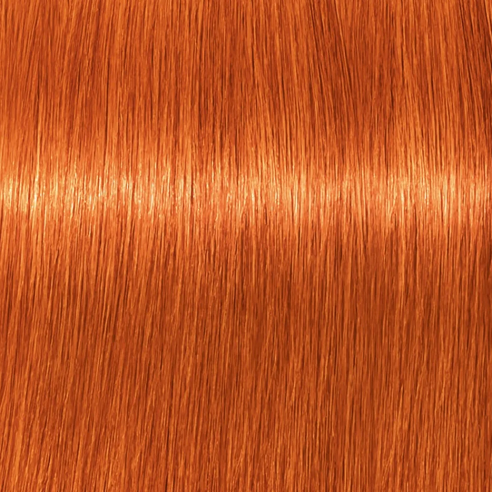 Schwarzkopf Professional Haarfarbe|Schwarzkopf Igora Royal 8-77 Hellblond Kufper Extra