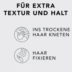 Sebastian Haarschaum|Thickefy Foam 190 ml