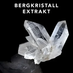 Sebastian Shampoo|Trillance Shampoo 250 ml