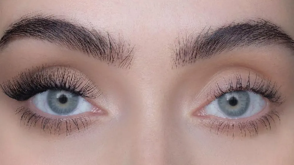 Sweed Wimpern^Cluster Flair