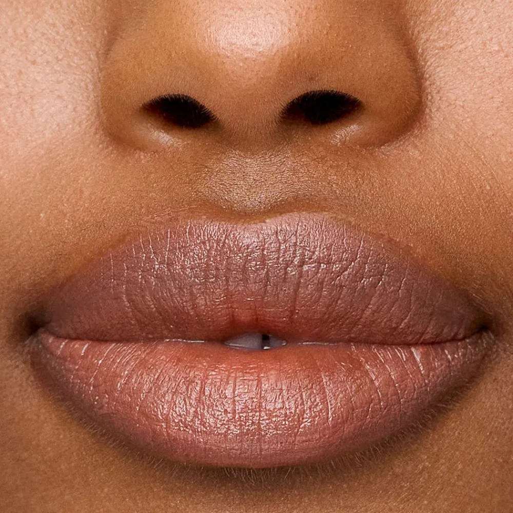 Professional Le Lipstick Celine 12 ml-Sweed Discount