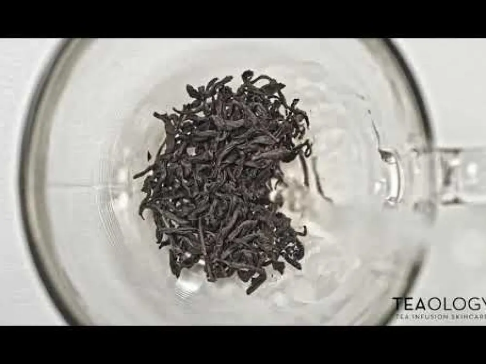 Teaology Hagel Nature|Hautverjüngung|Revitalizing White Tea Ritual Kit