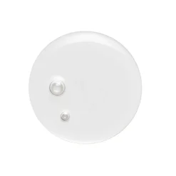 Virtue Pflege| Haaröle|Correct Healing Oil 50 ml