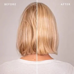 Recovery Discovery Kit-Virtue Sale