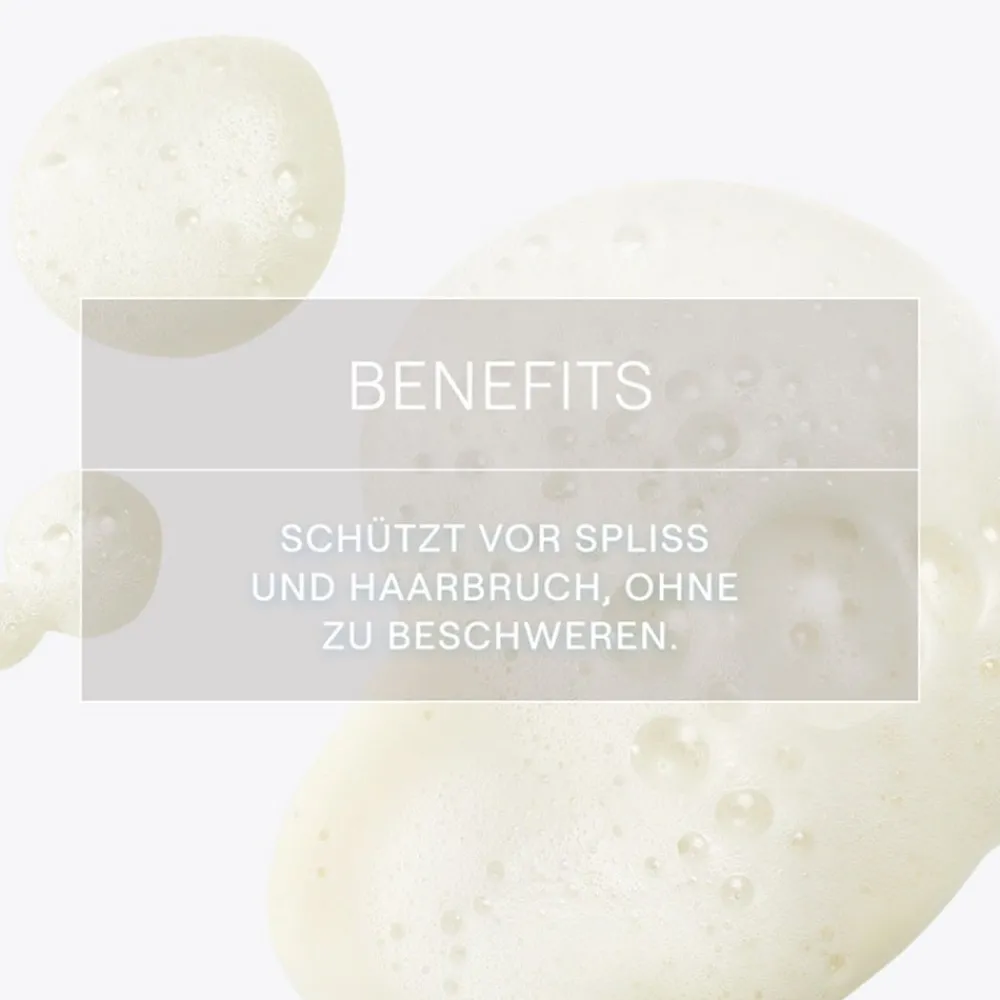 Weleda Hagel Nature| Shampoo|festes Shampoo Reparatur & Pflege 50 g