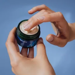 Weleda Hagel Nature|Gesicht^Festigende Nachtpflege Blauer Enzian & Edelweiss 40 ml