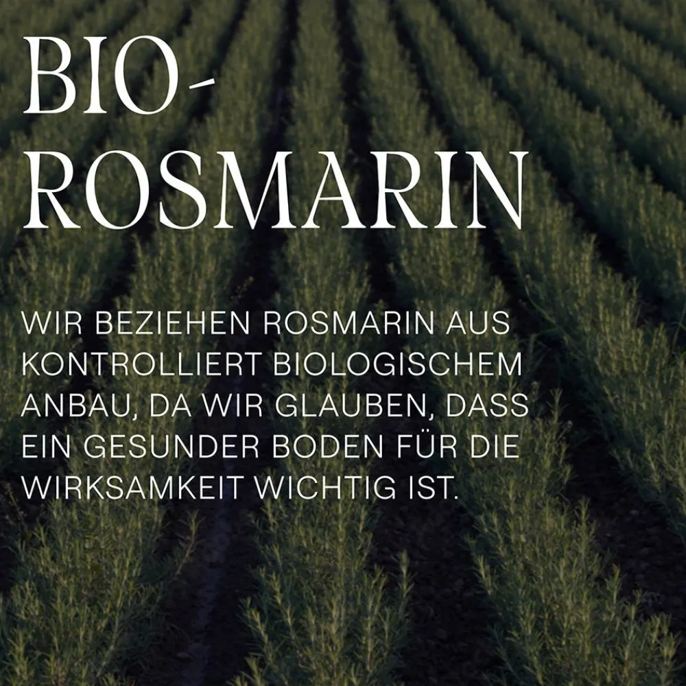 Weleda Hagel Nature| Shampoo^Rosmarin Vitalizing Shampoo 250 ml