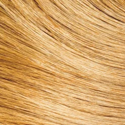 Wella Tönung|Haarfarbe^EOS Pflanzentönung Golden Curry 120 g