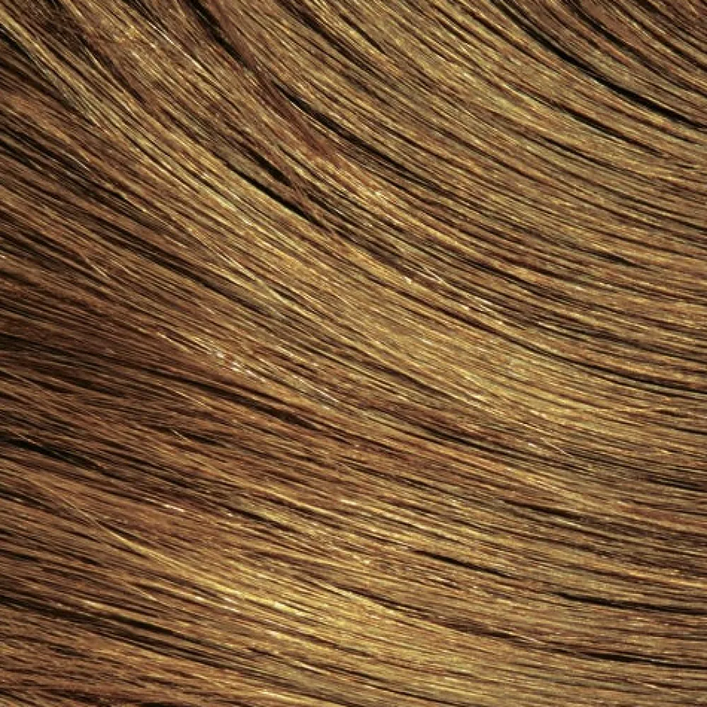 Wella Tönung|Haarfarbe|EOS Pflanzentönung Muskatnuss II 120 g